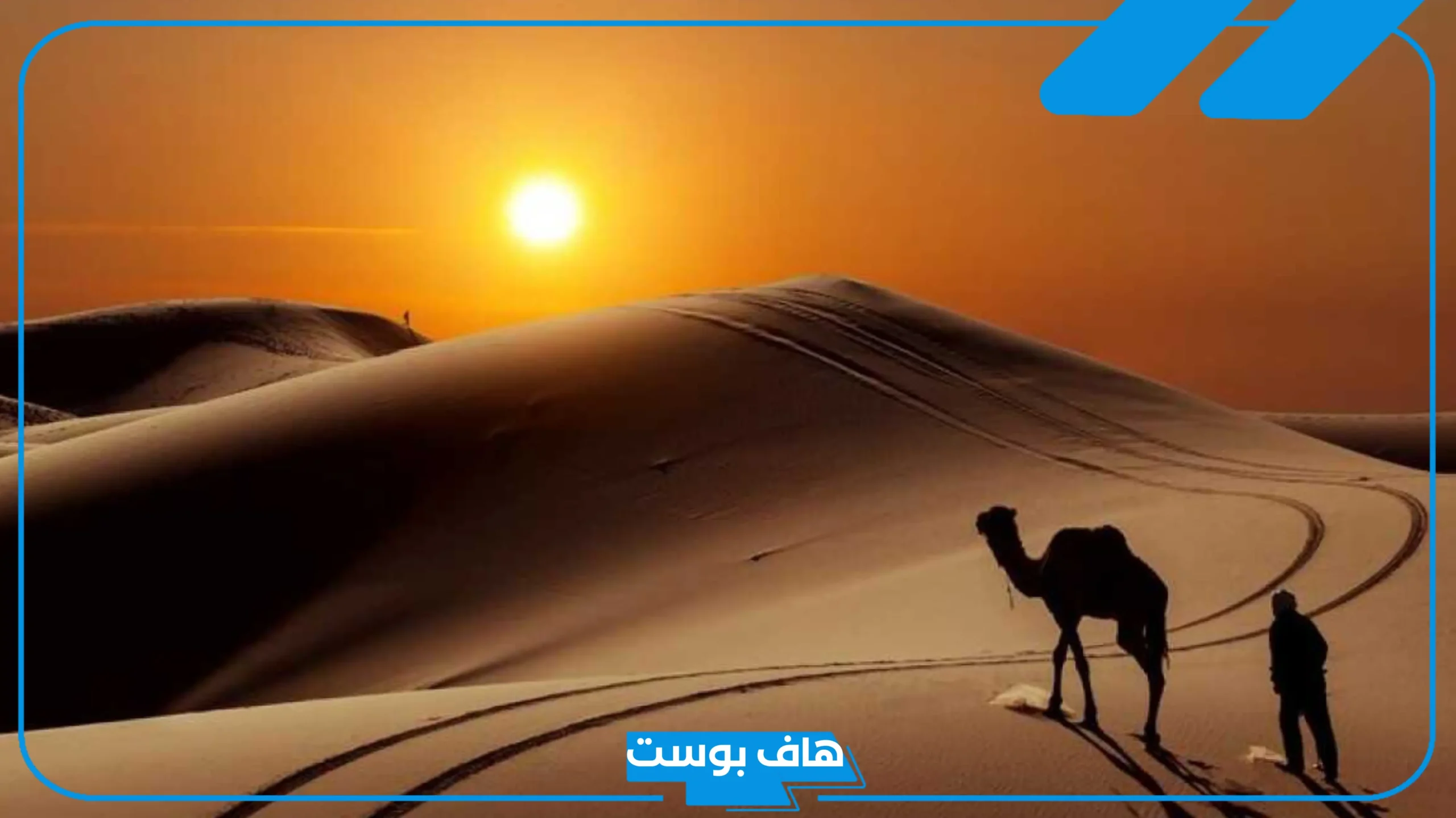 الحارثي وش يرجع أصله، نسب قبيلة الحارثي