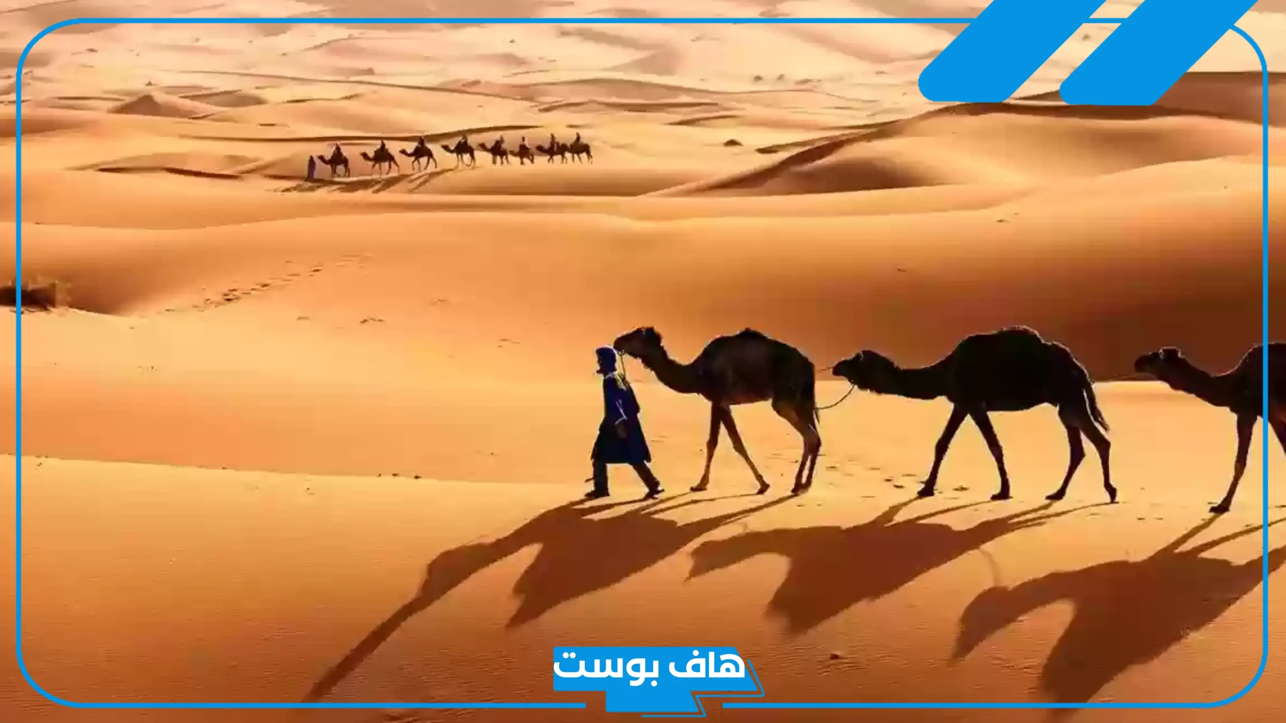 الحارثي وش يرجع أصله، نسب قبيلة الحارثي