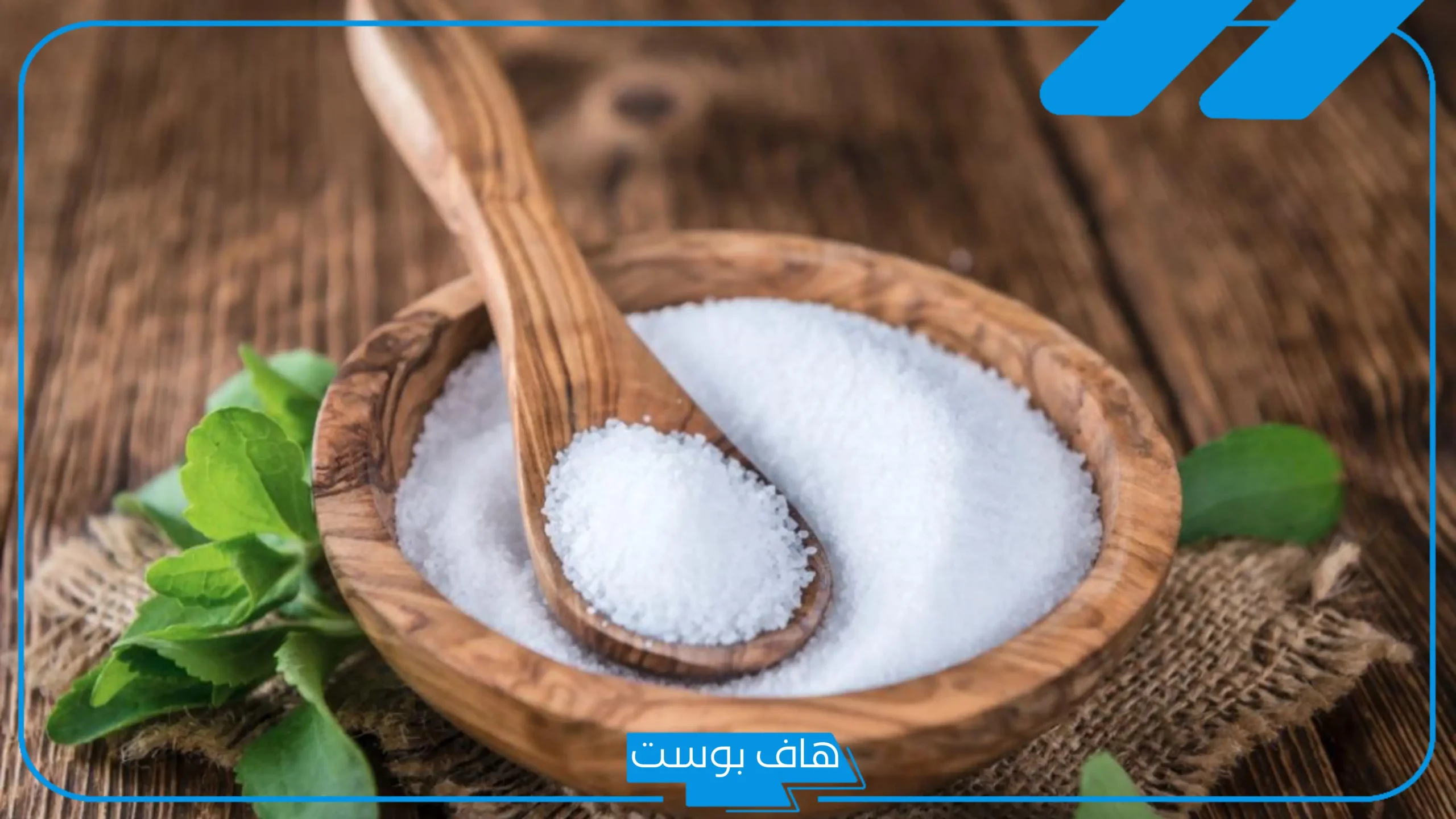 تجربتي مع سكر ستيفيانا بالفوائد والأضرار.. الفرق بين سكر ستيفيانا وستيفيا