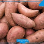 تفسير رؤية البطاطا في المنام وشخصي يعطيني بطاطا للعصيمي والإمام الصادق
