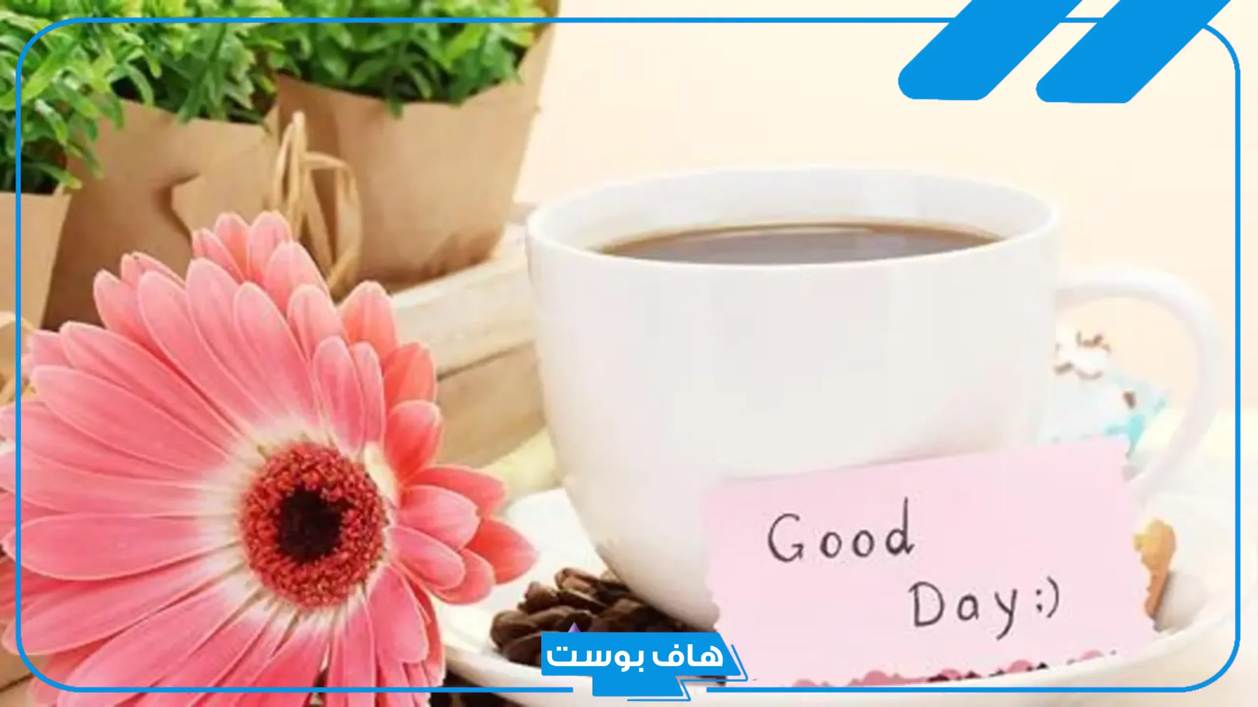عبارات عن فطور الصباح جميلة قصيرة واتس آب.. أجمل عبارات عن الفطور مع الحبيب