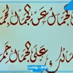 أجمل ما قيل في وصف جمال المرأة.. أقوال الحكماء في وصف النساء الجميلة
