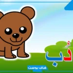 أسماء حيوان بحرف د الدال مشهورة ومعروفة 2025