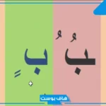 أسماء فاكهه بحرف ب الباء من خمس وست حروف معروفة