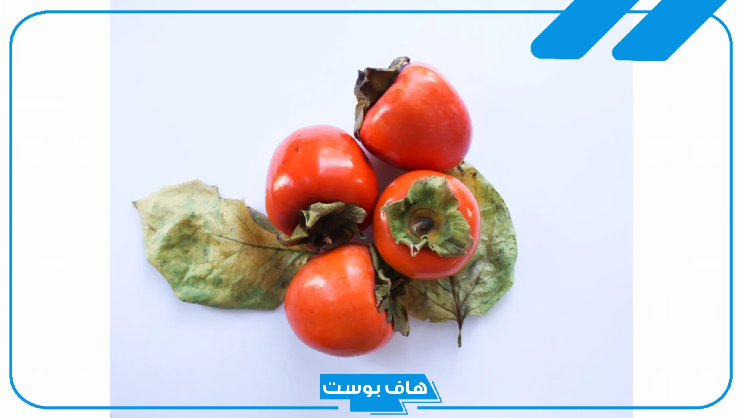 أسماء فاكهه بحرف الكاف من 3 حروف مشهورة، فواكه بحرف ك