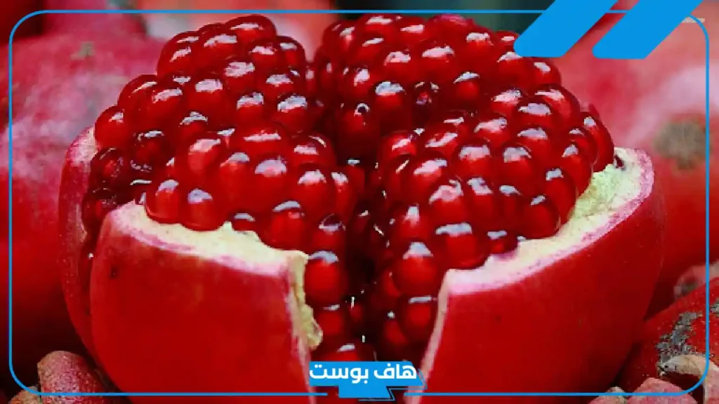 أسماء نبات بحرف ر الراء.. اسم نبات يبدأ بحرف راء