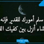 حكم عن السعادة قصيرة تويتر.. أجمل ما قيل عن السعادة