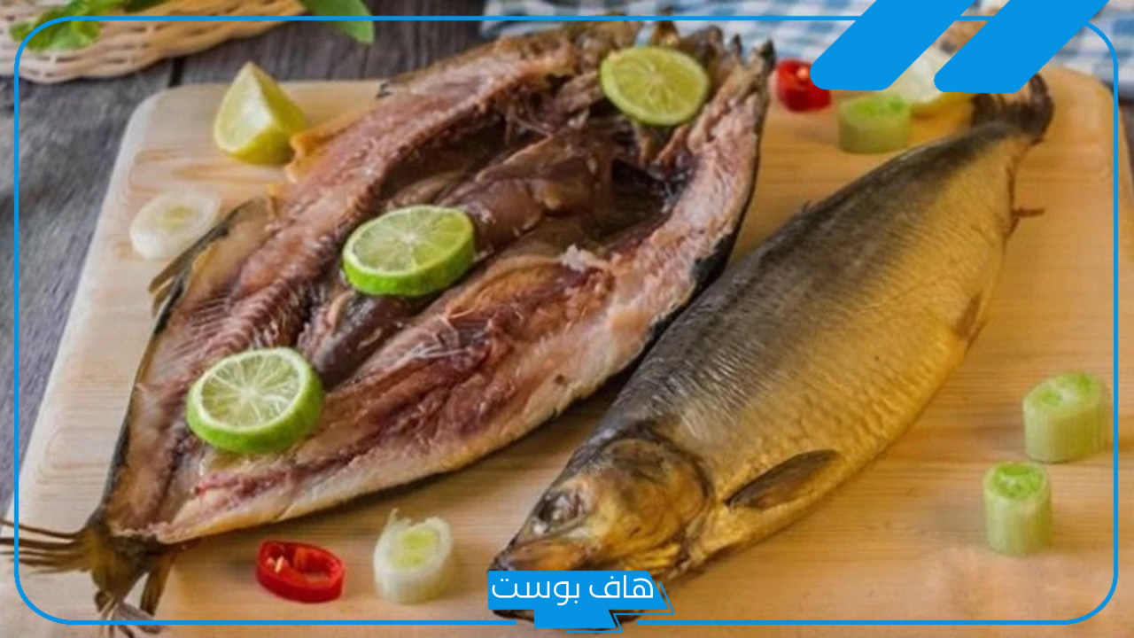 تفسير رؤية الرنجة في المنام لابن سيرين للمرأة العزباء والمتزوجة والمطلقة والرجل