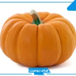 أشهر أسماء فاكهة بحرف الياء يمن ست حروف، فواكه تبدأ بحرف ي