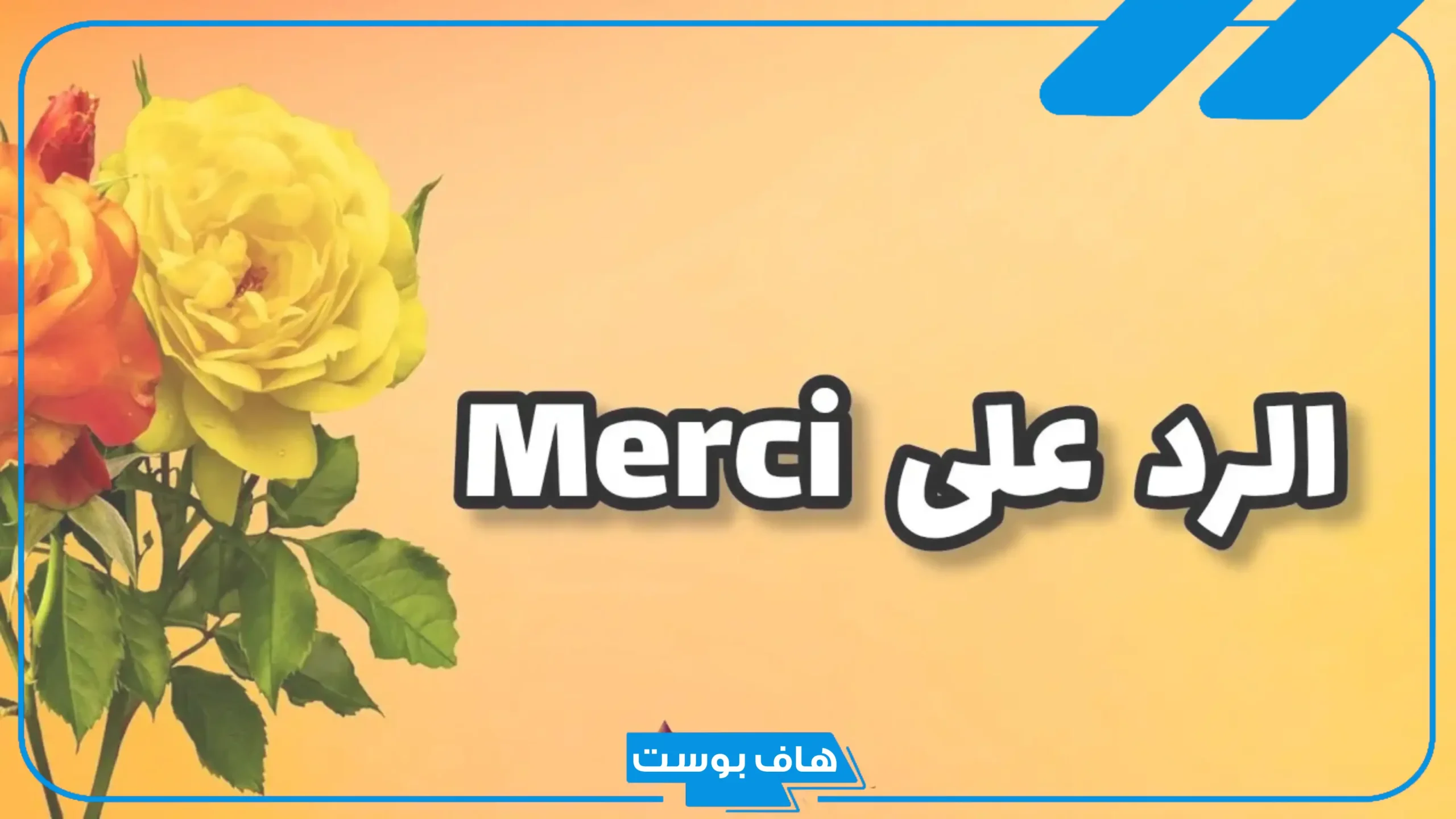 ما هو الرد على كلمة ميرسي؟ الرد على شكرًا بالفرنسية