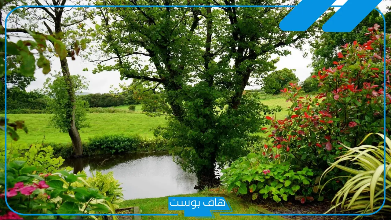 تفسير حلم الارض الخضراء في المنام للرجل المتزوج لابن سيرين