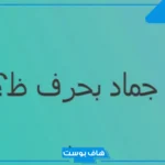 أسماء جماد بحرف الظاء من حرفين وثلاث حروف.. جمادات تبدأ بحرف ظ