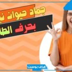 اسم جماد بحرف الطاء من خمسة حروف.. جماد مشهور يبدأ بحرف ط