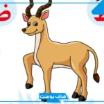 أسماء حيوان بحرف ظ مشهورة، حيوانات من الغابة تبدأ بحرف الظاء