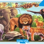 اسم حيوان بحرف ع العين من ثلاث حروف.. أسماء حيوانات مشهورة بحرف ع