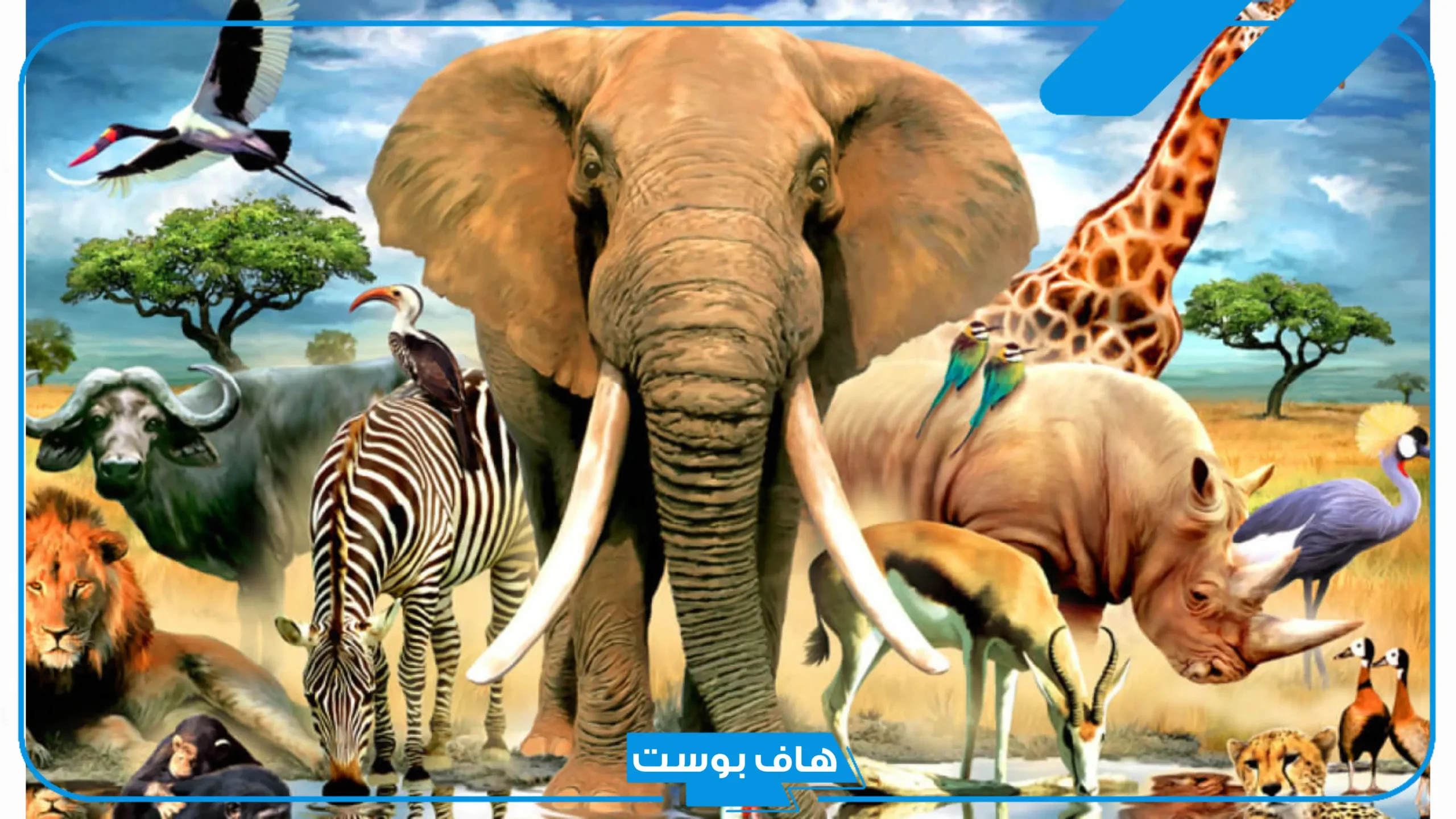 اسم حيوان بحرف ل من أربع حروف.. أسماء حيوانات تبدأ بحرف اللام