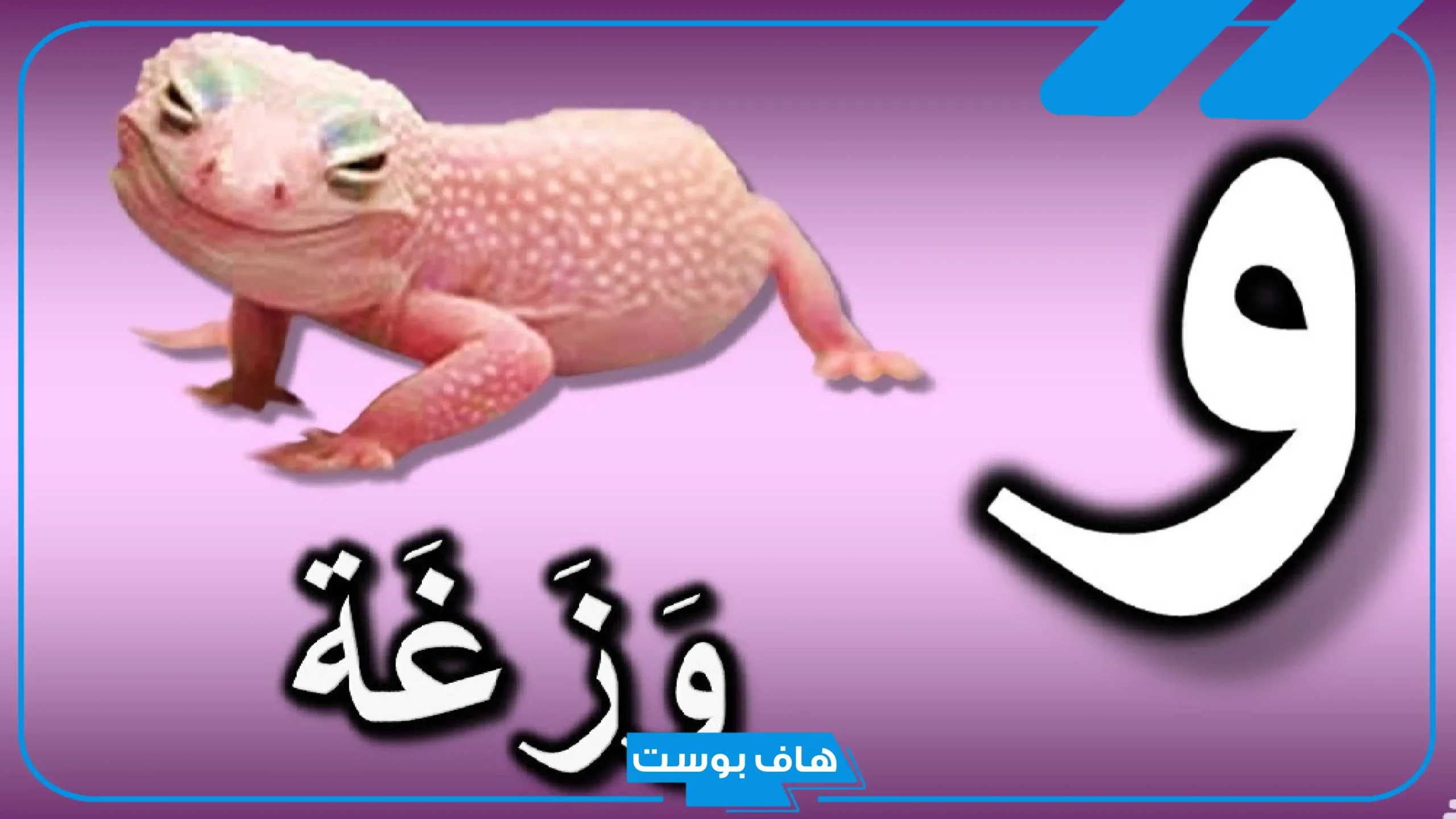 أسماء حيوان بحرف و معروفة.. اسم حيوان يبدأ بحرف الواو