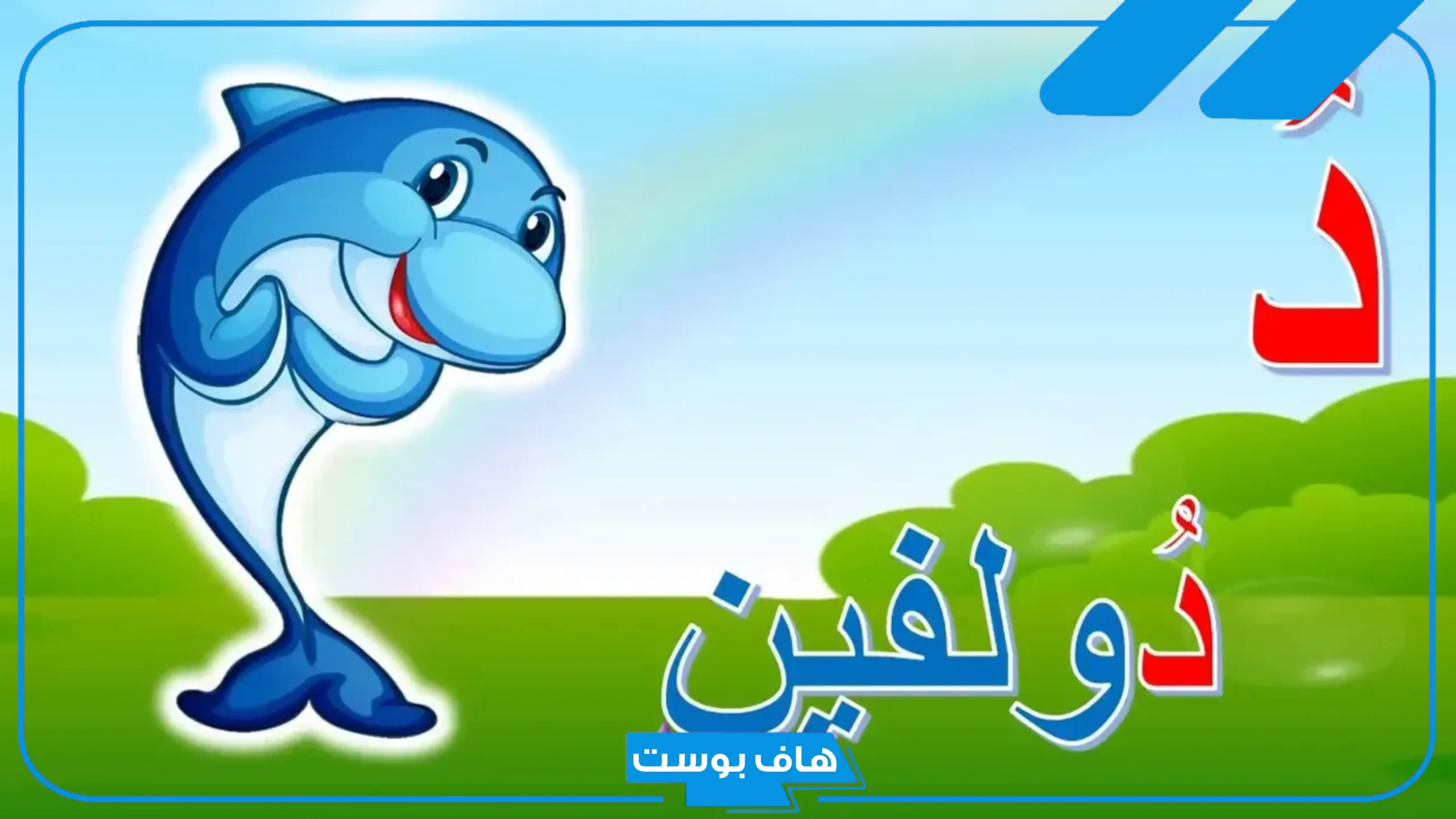 أسماء حيوان بحرف د الدال مشهورة ومعروفة 2025