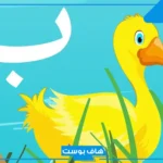 اسم حيوان بحرف ب الباء معروف، حيوانات تبدأ بحرف باء