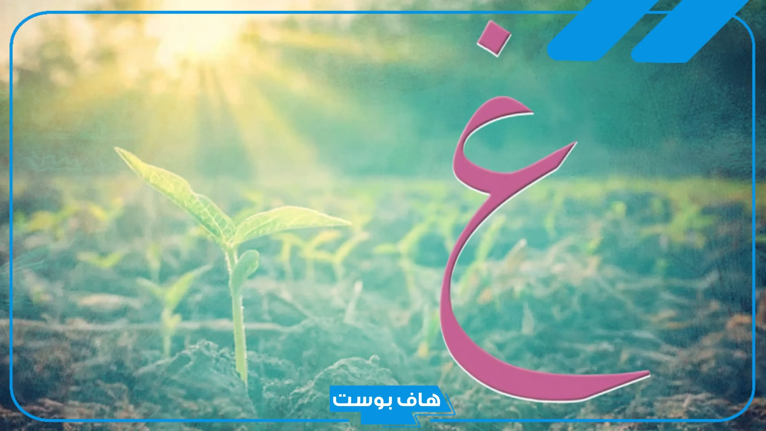 أسماء بلاد بحرف غ من 6 حروف.. مدن تبدأ بحرف غين