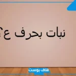 اسم نبات بحرف العين ع.. أسماء نباتات تبدأ بحرف ع