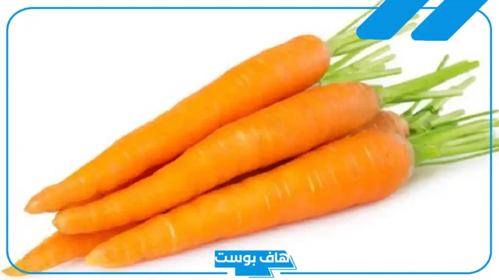 أسماء نبات بحرف ج زينة، اسم نبات يبدأ بحرف الجيم