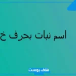 أسماء نبات بحرف الخاء خ معروف.. اسم نبات يبدأ بحرف الخاء