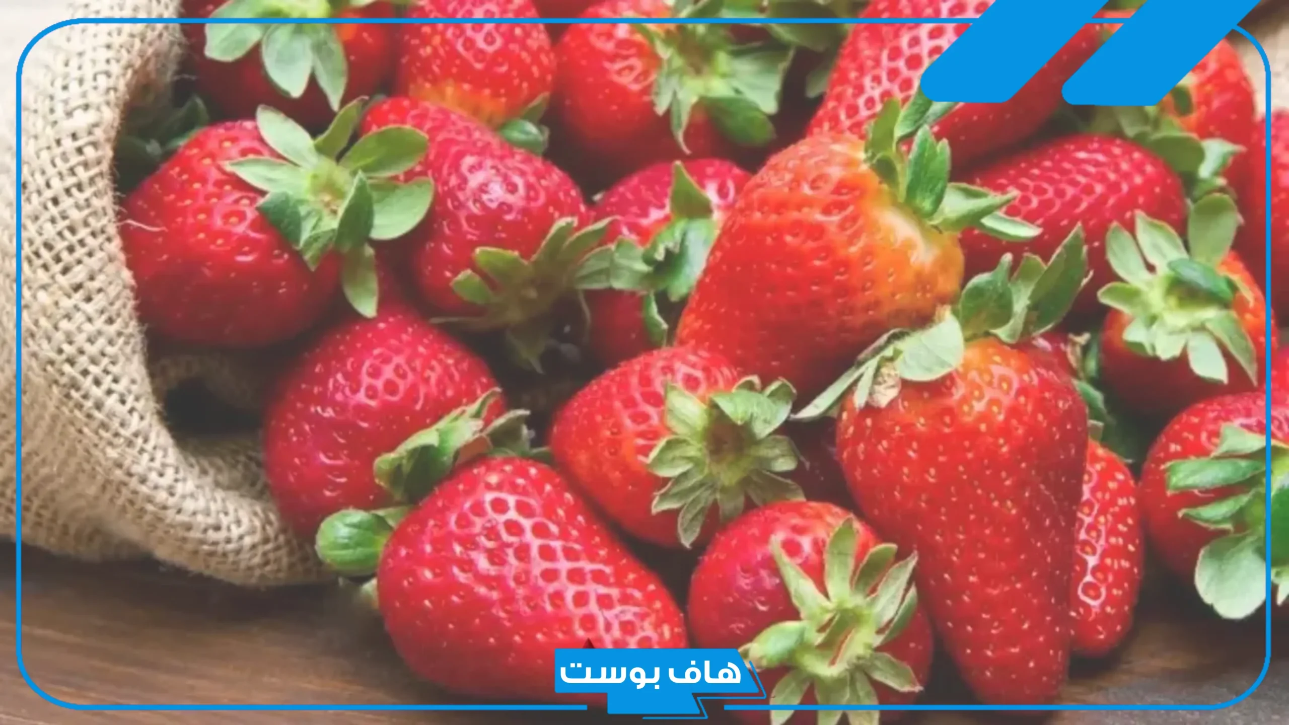 أسماء نبات بحرف الفاء من أربعة حروف، نباتات معروفة بحرف ف