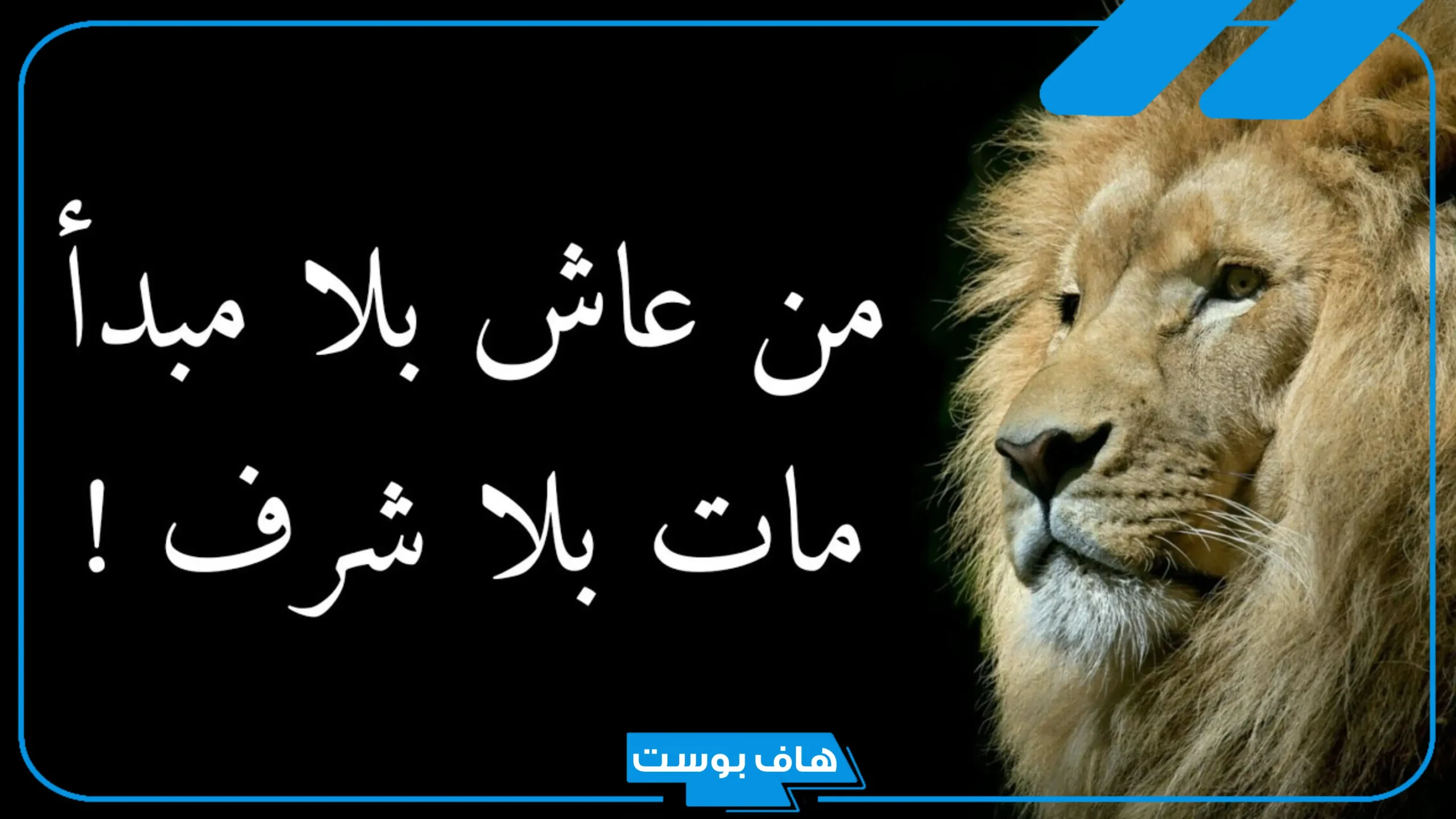 حكمة قصيرة ومفيدة لها معنى للمدرسة.. أجمل حكم مؤثرة