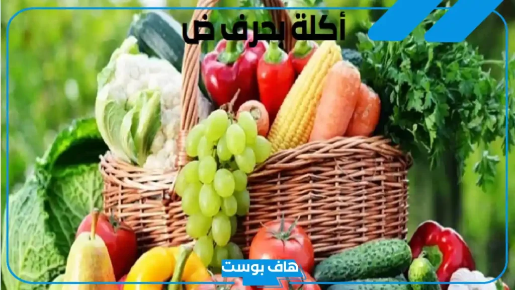 اسم اكله بحرف الضاد ض من المطبخ.. 10 أكلات تبدأ بحرف ض