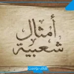 مثل مشهور ومعناه في الثقافة العربية.. أمثال شعبية ومعانيها