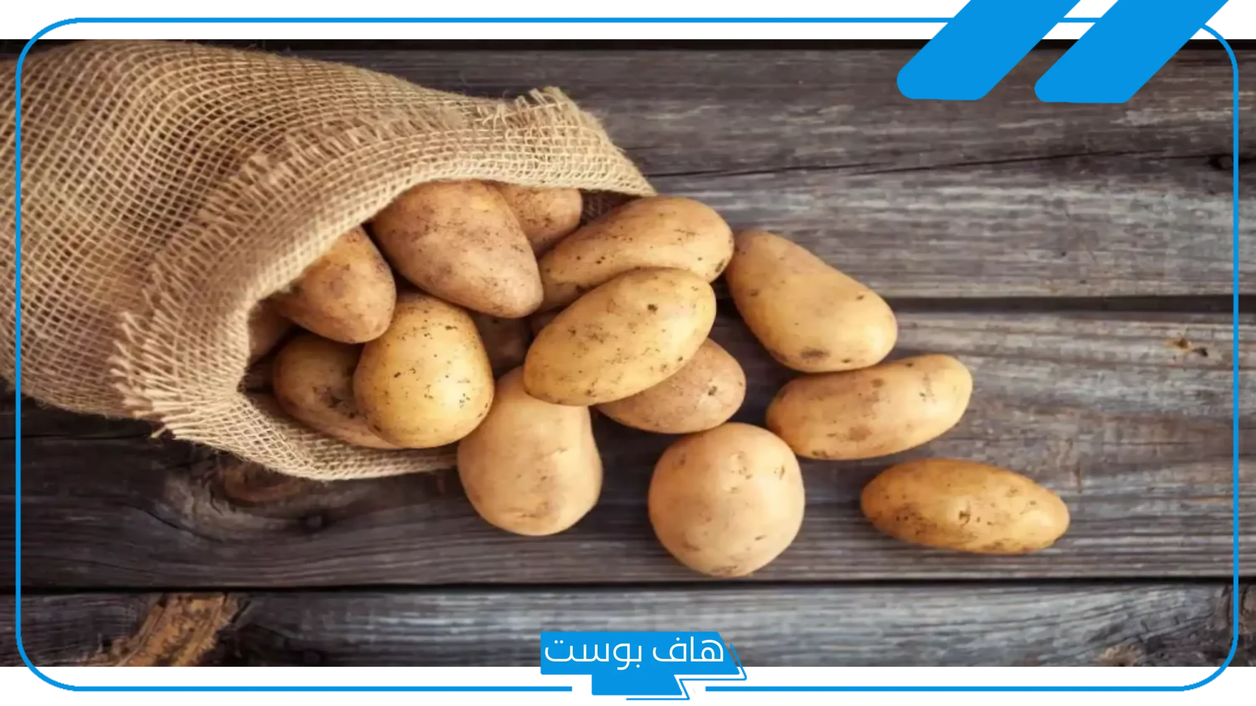 تفسير رؤية البطاطا في المنام وشخصي يعطيني بطاطا للعصيمي والإمام الصادق