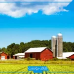 تفسير حلم المزرعه في المنام كبيرة للرجل والمرأة العزباء