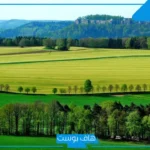 تفسير حلم الارض الخضراء في المنام للرجل المتزوج لابن سيرين