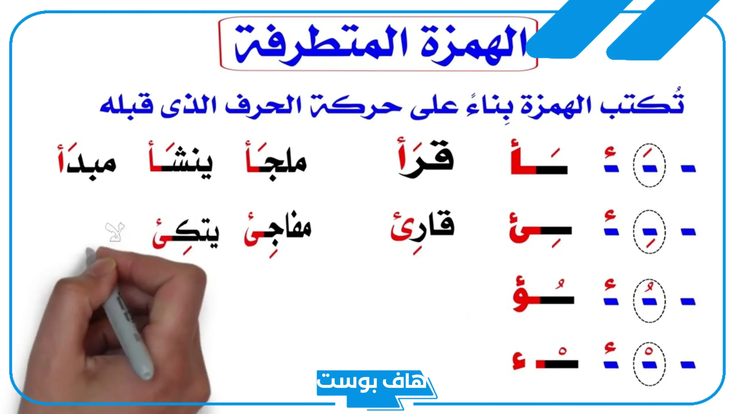 امثلة على الهمزة المتطرفة على السطر من القرآن الكريم