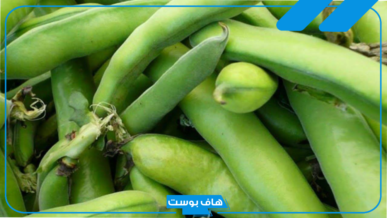 تفسير حلم رؤية الفول في المنام لابن سيرين والنابلسي