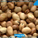 تفسير حلم رؤية الفول في المنام لابن سيرين والنابلسي