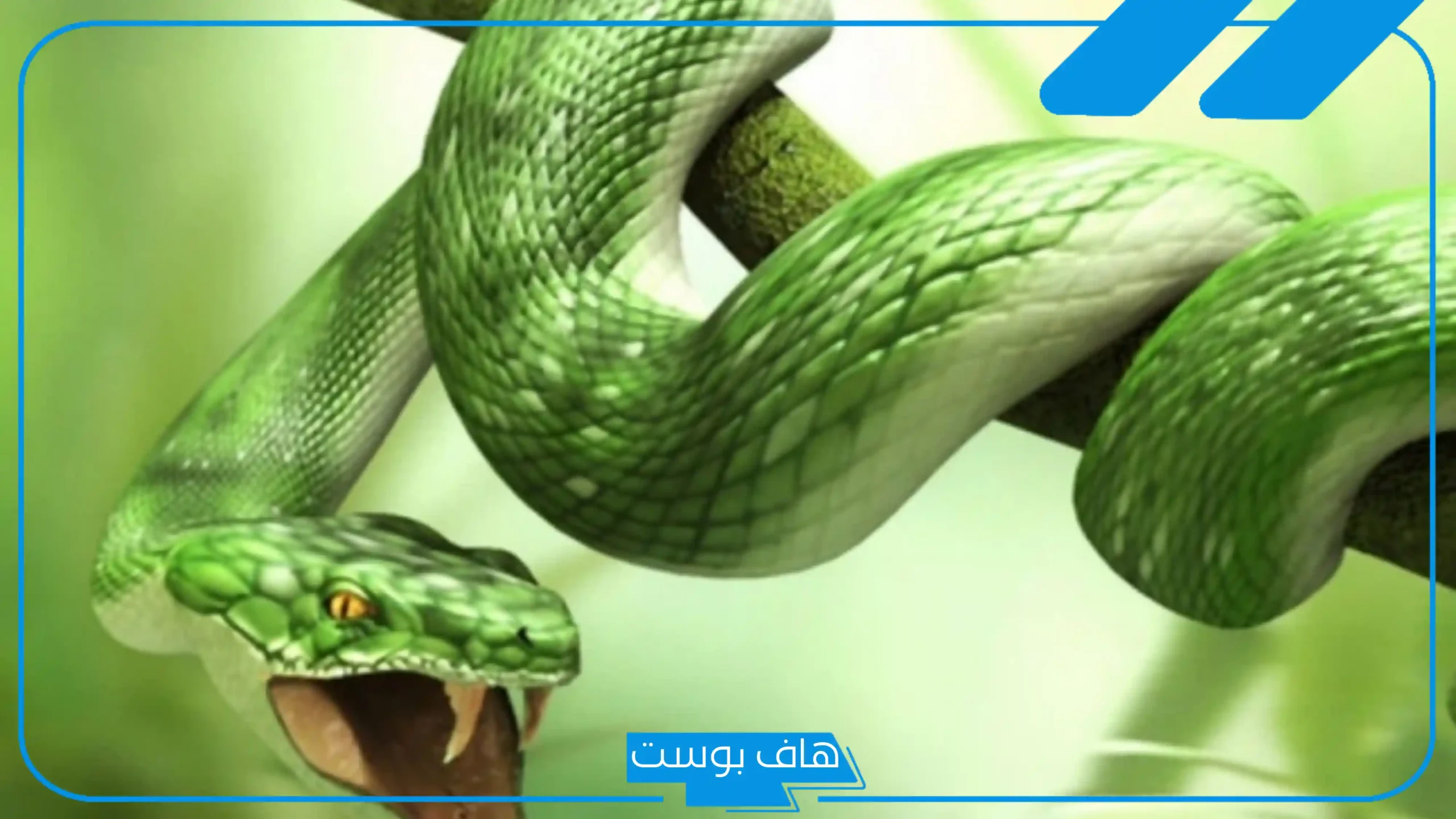 تفسير رؤية الحية في المنام حسب اللون للعزباء لابن سيرين