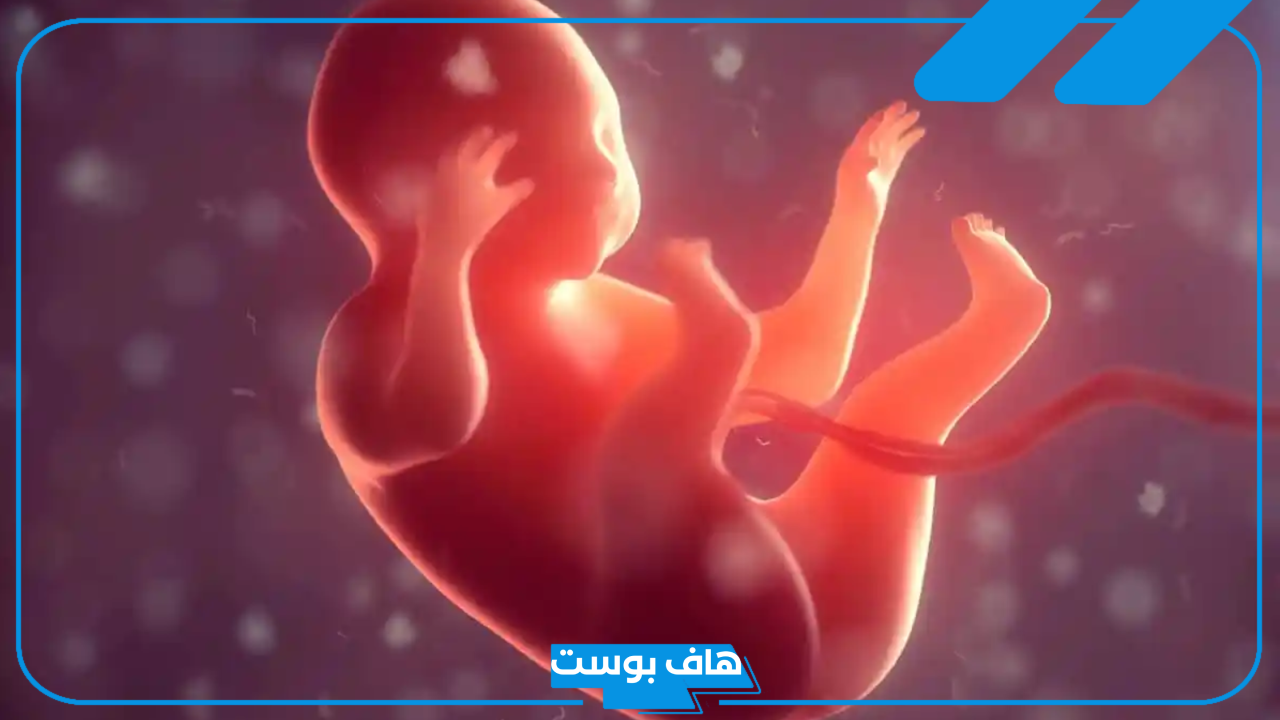 تفسير حلم الاجهاض في المنام للمرأة المتزوجة بدون ألم لكبار المفسرين