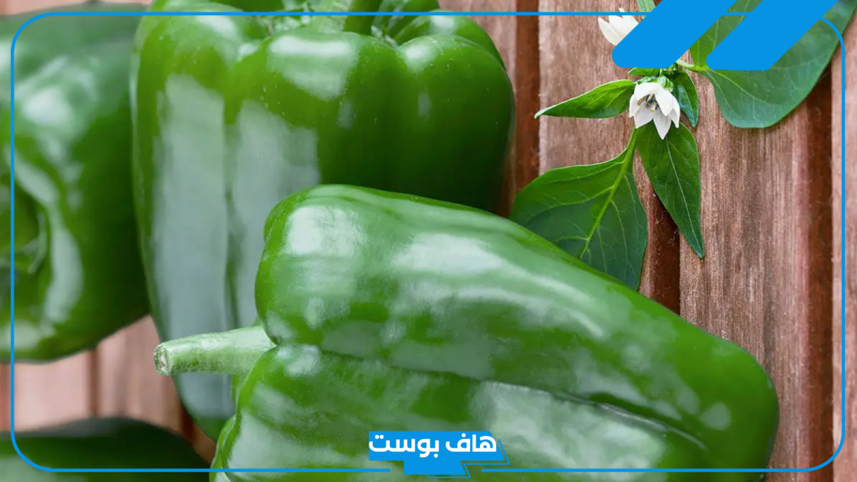 تفسير حلم رؤية الفلفل في المنام  للرجل والمرأة العزباء