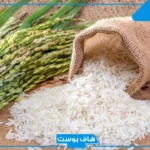تفسير حلم الارز الأبيض المطبوخ والنيء في المنام لابن سيرين