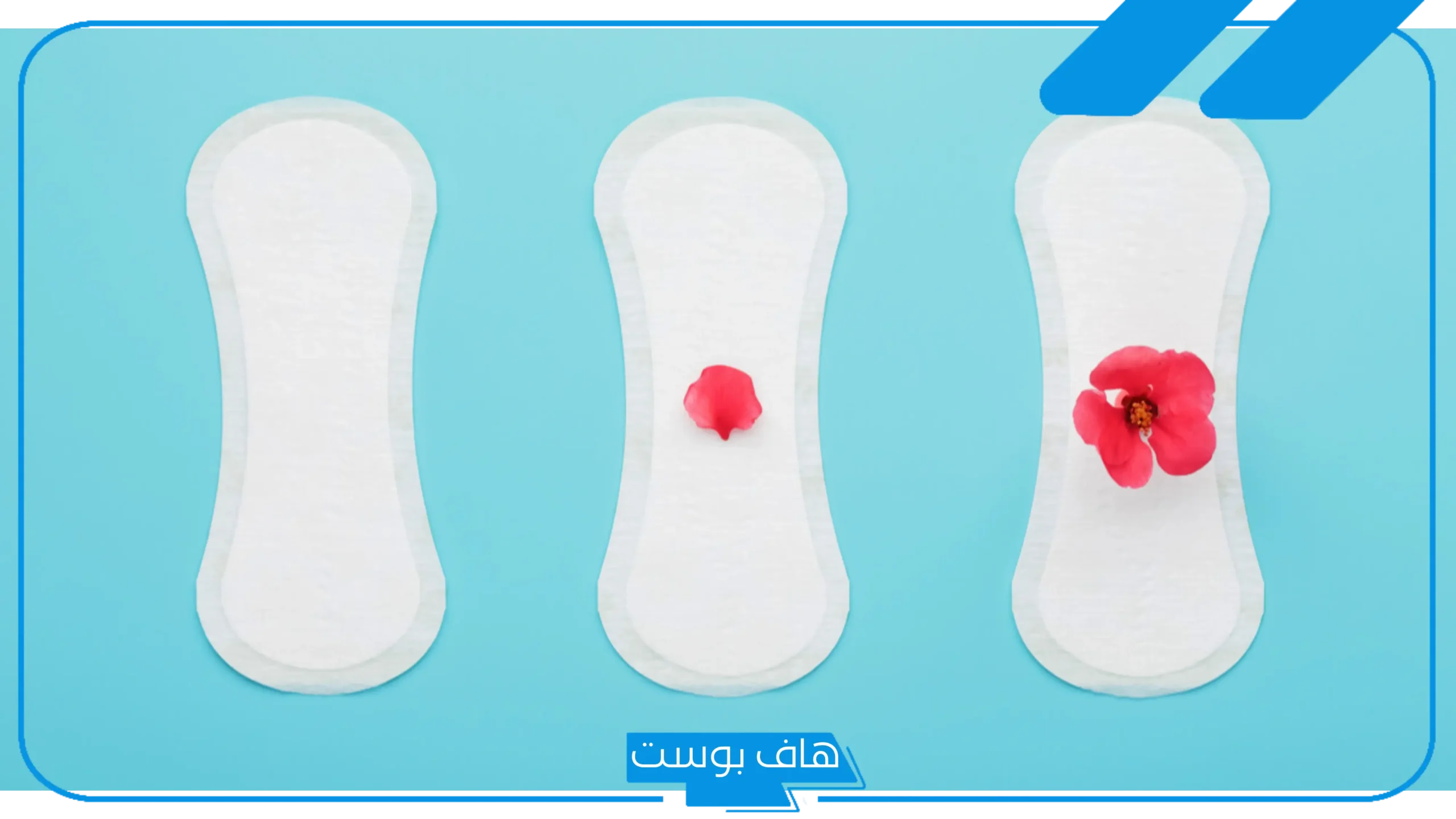 تفسير رؤية الدورة الشهرية في الحلم للعزباء في غير وقتها لابن سيرين