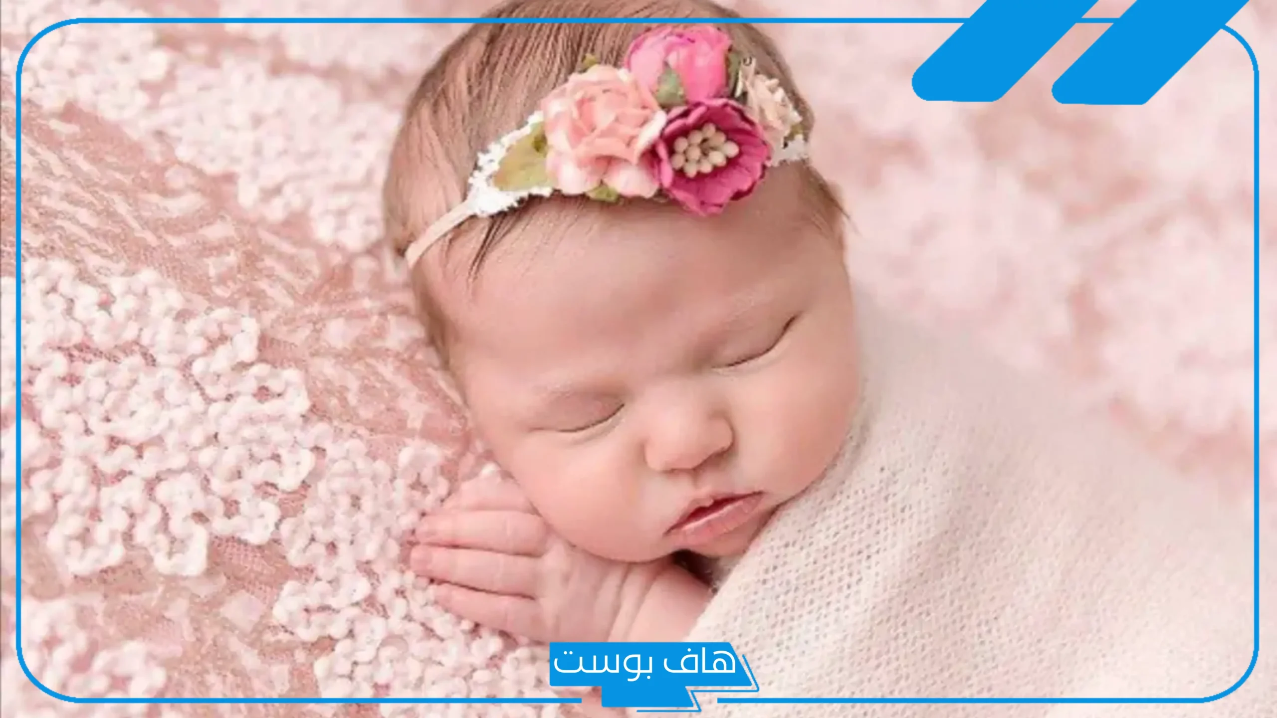 رؤية بنت الأخت في المنام وابن الأخت لابن سيرين وابن شاهين والنابلسي للرجل