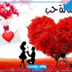 أجمل رسائل وكلام تهنئة عيد الحب.. كلام رومانسي عن عيد الحب للحبيب