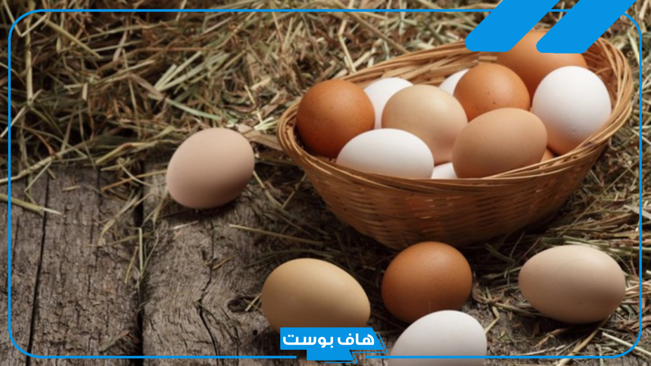 تفسير حلم البيض في المنام للمتزوجه والعزباء والحامل وعلاقته بنوع الجنين لابن سيرين