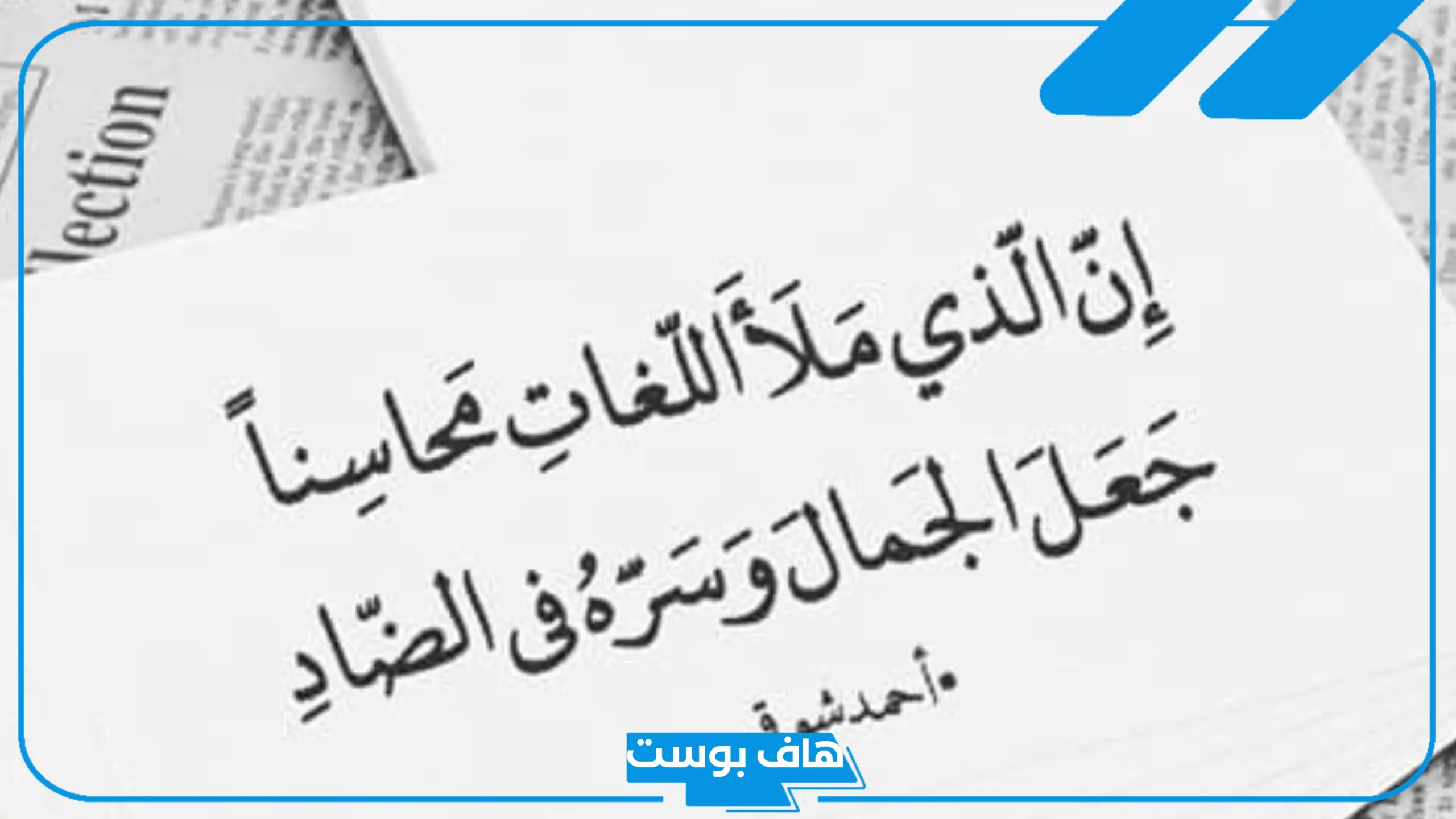 عبارات جميلة عن اللغة العربية قصيرة للأطفال جاهزة
