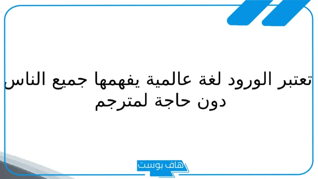 حكم قصيره وقويه جدًا لها معنى عن الحياة.. حكم مؤثرة في النفس