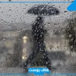 تفسير حلم نزول المطر على شخص في المنام، هل هذه الرؤية بشارة خير للرائي