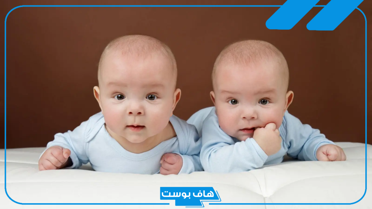تفسير حلم وجود توأم لشخص لا يوجد له توأم في المنام لابن سيرين