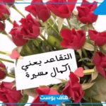 دعاء للمتقاعد بالتوفيق والسعادة قصير.. عبارات تهنئة تقاعد تويتر